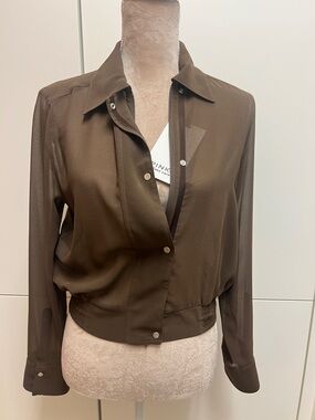 Pinko Sheer Brown Button-Front Long Sleeve Top